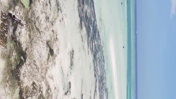 Zanzibar Tanzania  Vertical Video of Low Tide in the Ocean Near the Coast Slow Motion