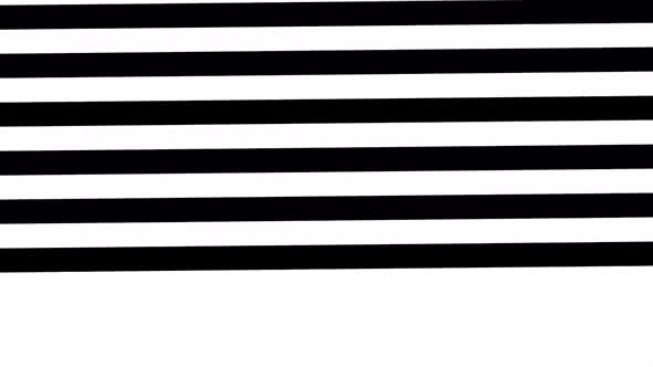 Abstract black and white stripe background with shade