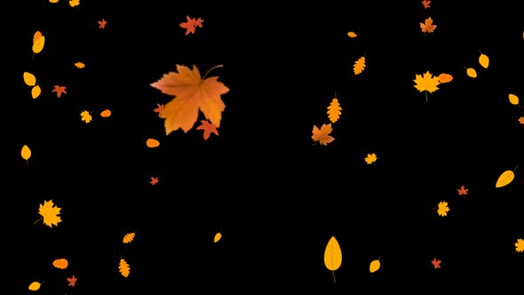 Autumn Leaves Falling alt