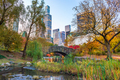 Central Park during autumn in New York City - PhotoDune Item for Sale