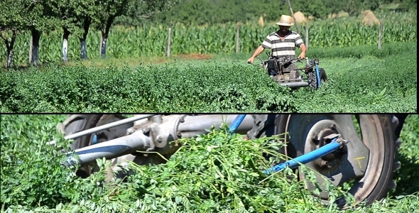 Man With Cutting Grass Machine 1 - 2 Videos