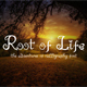 Root Of Life - GraphicRiver Item for Sale