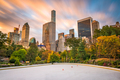 New York, New York, USA cityscape from Central Park - PhotoDune Item for Sale