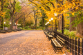 Central Park at The Mall in New York City - PhotoDune Item for Sale