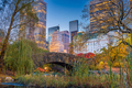 Central Park during autumn in New York City - PhotoDune Item for Sale