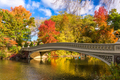 Central Park New York - PhotoDune Item for Sale
