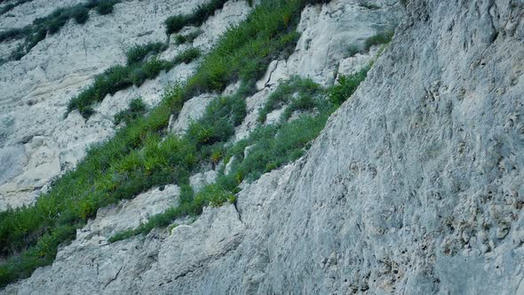 Steep Grassy Cliff Face Moving Shot