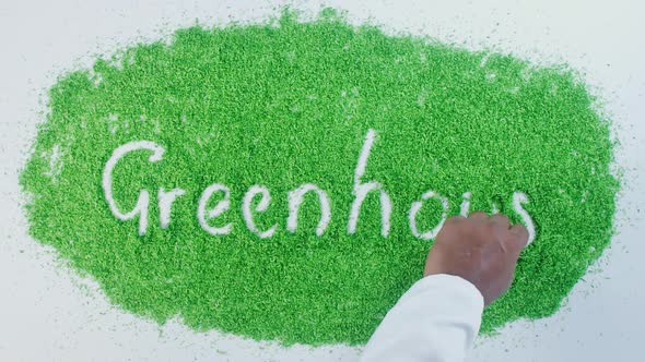 Green Writing   Green House 