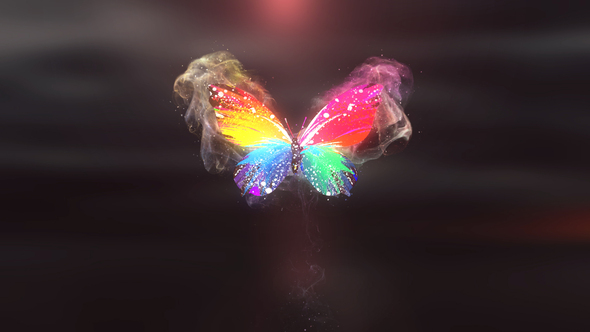 Colorful Butterfly Logo Reveal 4K alt