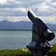 Telescope At Bodensee-Lake with birds and ships - VideoHive Item for Sale