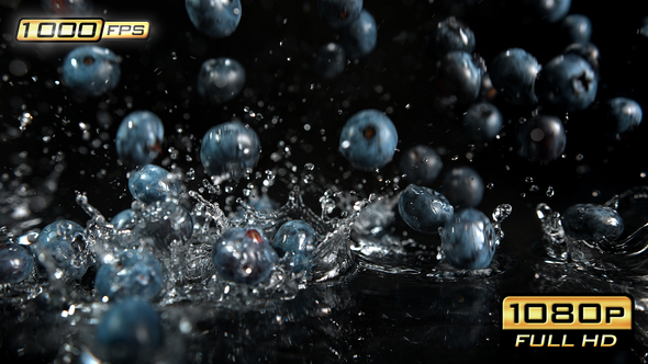 Blueberries Splashing Water Drops