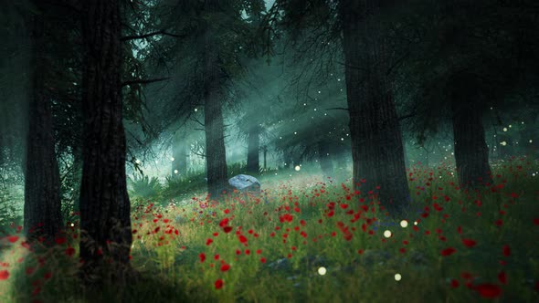 stylized flower field in forest 4K