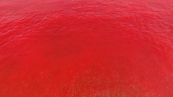 Red Sea, Glossy Liquid From Above.