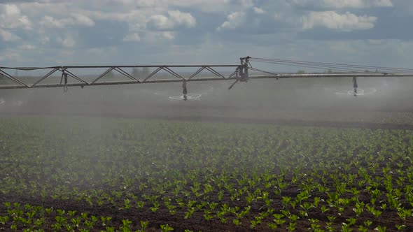 Irrigation System on Agricultural Land