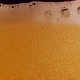 Extreme macro footage through a transparent glass of bubbles formed in Beer - VideoHive Item for Sale