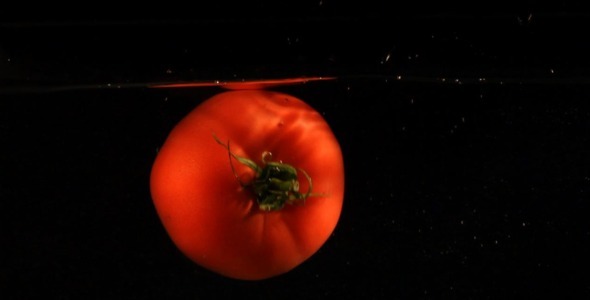 Tomato In Water Slow Motion