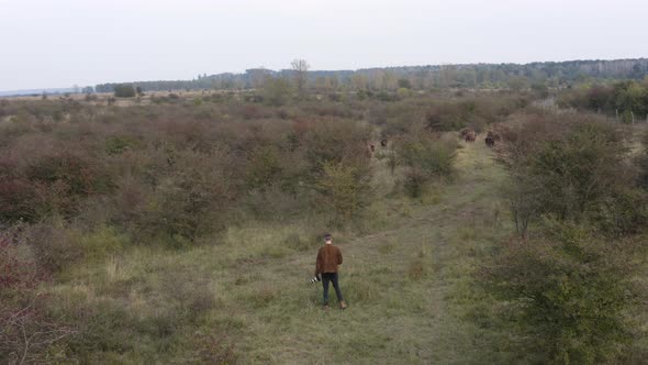 Photographer with a DSLR camera texting while documenting a bison herd.