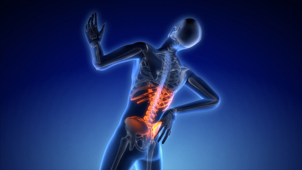 Lower Back Pain, Sport Injury alt