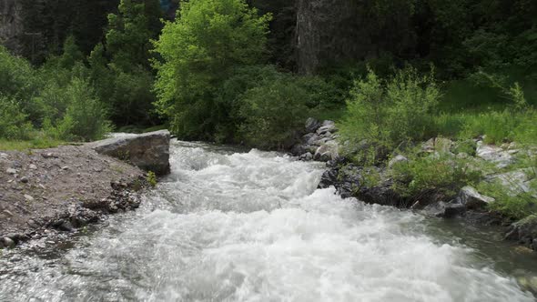 Flying upstream above a river in a forest.