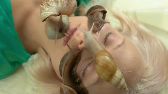 Close Up Big Snails Crawling on Female Face