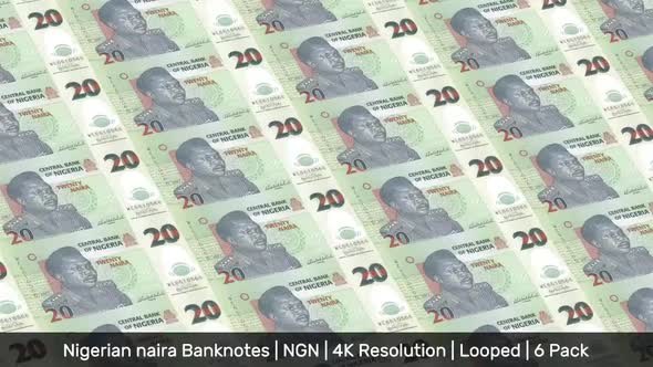 Nigeria Banknotes Money / Nigerian naira / Currency ₦ / NGN/ | 6 Pack | - 4K