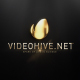 Gold Logo Reveal - VideoHive Item for Sale