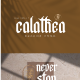 Calathea - GraphicRiver Item for Sale