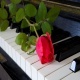 Wedding Piano - AudioJungle Item for Sale