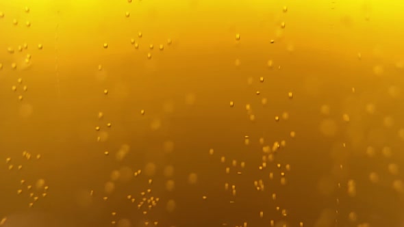 Pilsner beer bubbles sparkling in glass and filmed in slow motion video clip