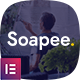 Soapee - Cleaning Services WordPress Theme - ThemeForest Item for Sale