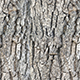 Tileable Wood Bark Texture - 3DOcean Item for Sale