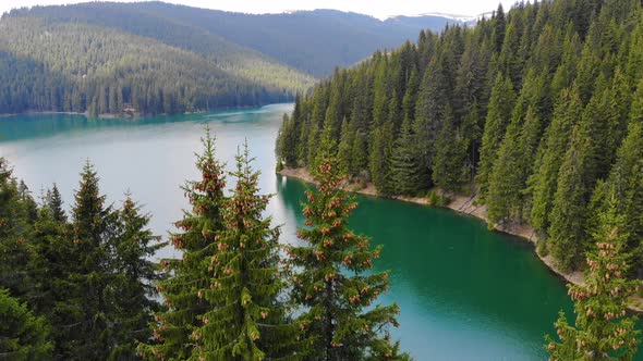 Aerial view of blue lake and green forests Turquoise water in a mountain forest lake with pine trees