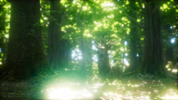 Great Red Deer in a Green Forest alt