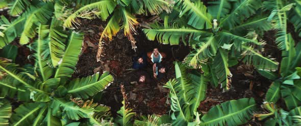 Four men standing together looking up in the banana field