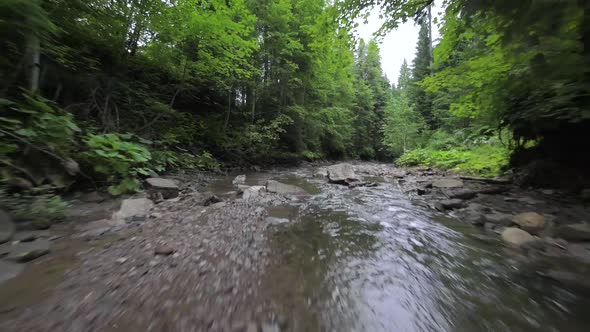 Smooth Rapid Flight Over a Mountain River Close to the Water Among a Dense Forest