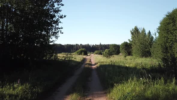 Forest  Field  River And Road 22