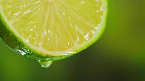 Drop Falling From Lime Slice on Nature Background
