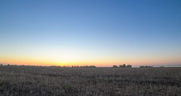 Flat Hill Meadow Timelapse at the Summer Sunrise Time