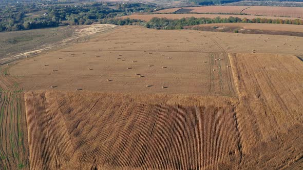 Beautiful morning flight over haystacks. The field is covered with hay.