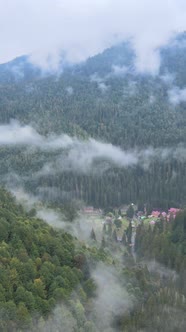 Vertical Video of Fog in the Mountains