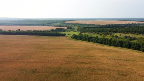 Wheat Fields Aerial View