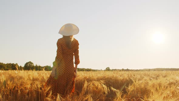 Pregnant woman in the rays of the sunset in the field