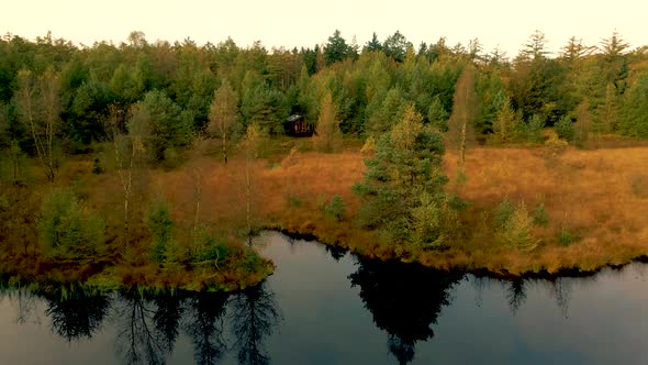 Wooden Hut in Autumn Forest in the Netherlands Cabin Off Grid Wooden Cabin Circled By Colorful