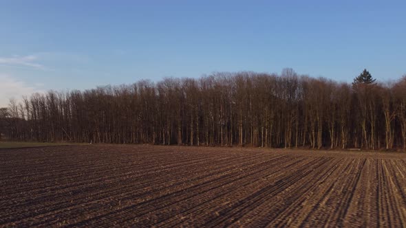 Flying over a plowed field on the side of a bare forest