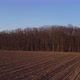 Flying over a plowed field on the side of a bare forest - VideoHive Item for Sale