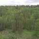 Green forest from above - VideoHive Item for Sale