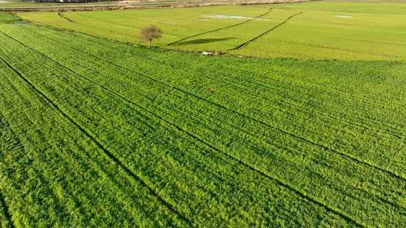 Farm Lanscapes Background Texture 4 K Aerial View