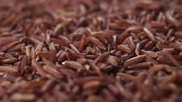 Brown rice seeds fall into a heap