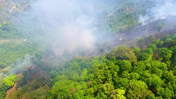 Aerial view towards a deforestation area, a forest wildfire fire in a jungle, smoking Amazon rainfor