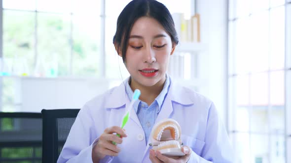 Asian Female Dentist Demonstrating Right Way to Brush Teeth Holding Mouth Model and Toothbrush